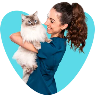 Vet holding a cat