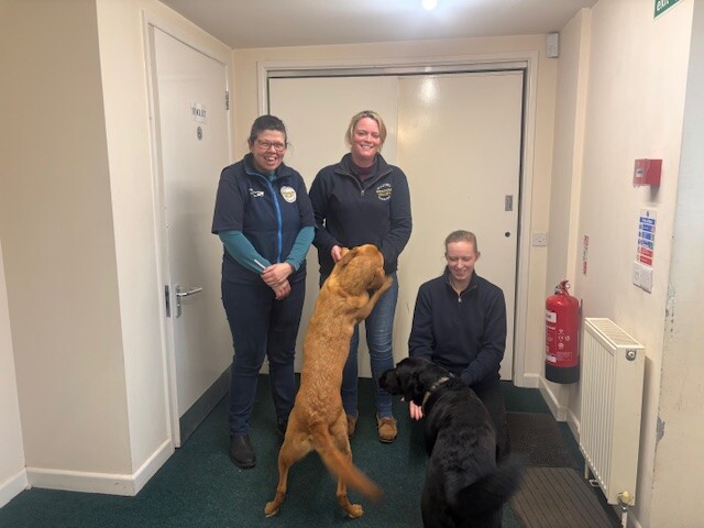Wensum Valley Veterinary Surgeons, Fakenham Team