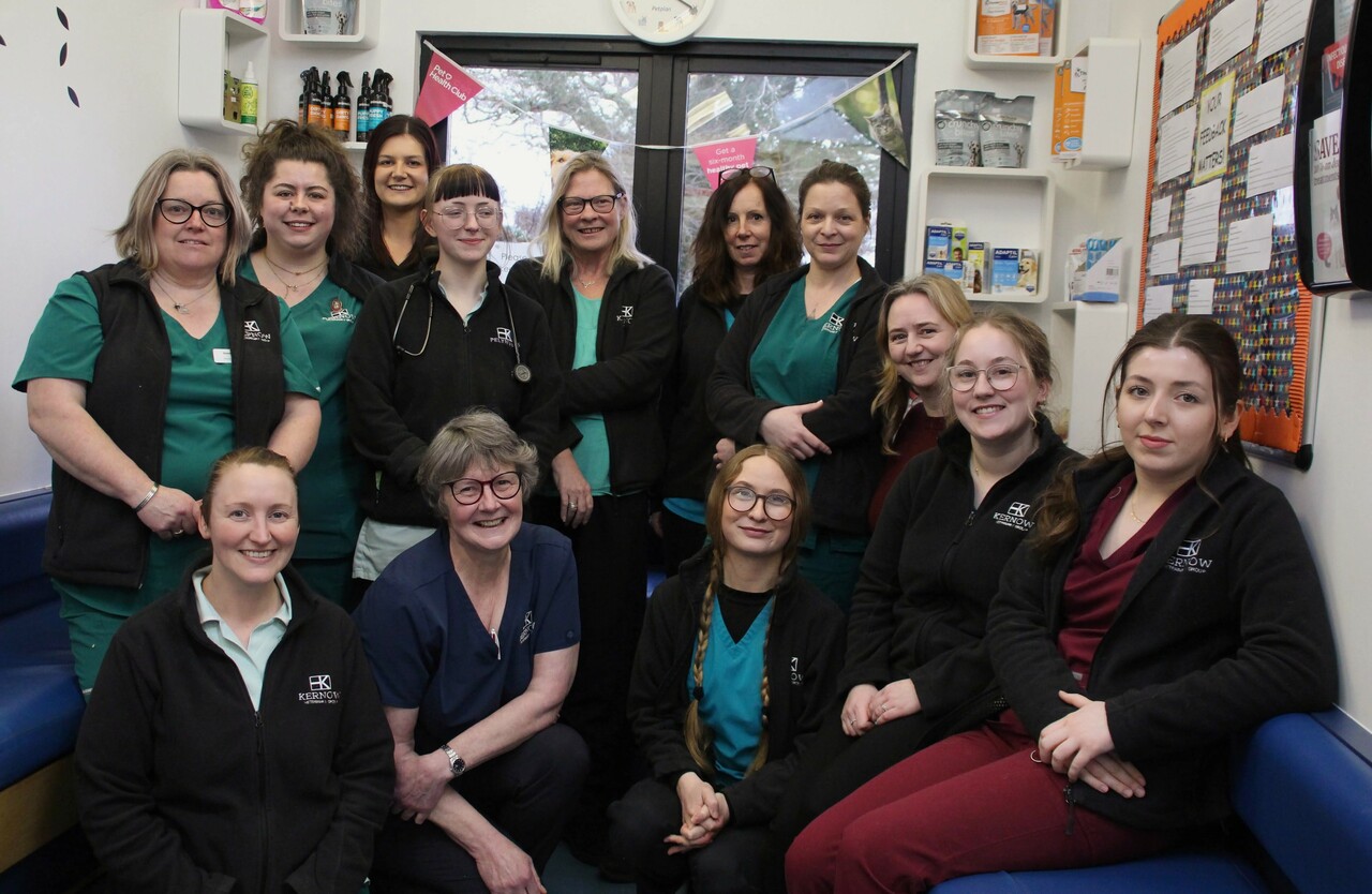 Kernow Veterinary Group, Pelyn Vets - Lostwithiel Team