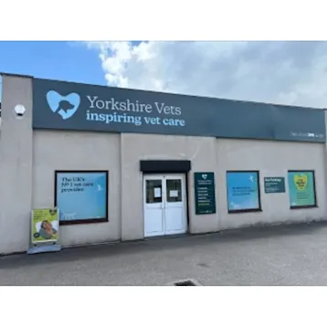 Yorkshire Vets, Morley Surgery Team