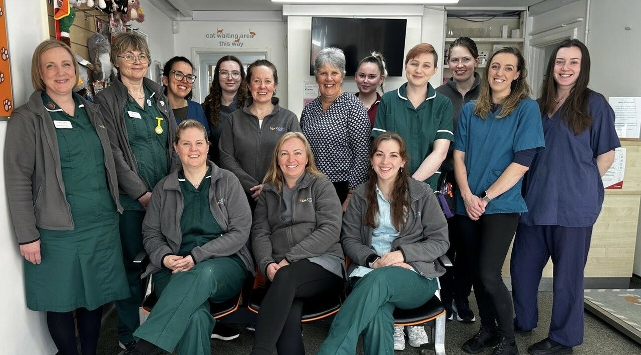 Foxcotte Veterinary Group, Charlton Team