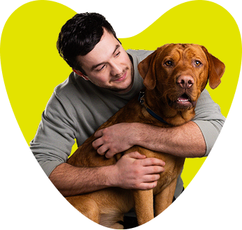 Happy dog with heart background