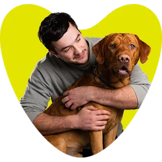 Happy dog with heart background