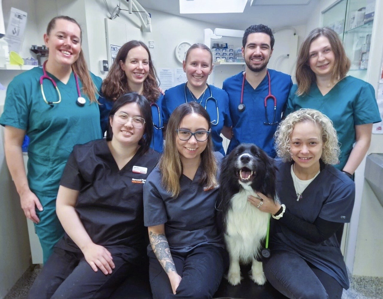 inspiring vet care - Norwood Road Team