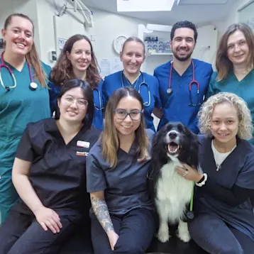 inspiring vet care - Norwood Road Team