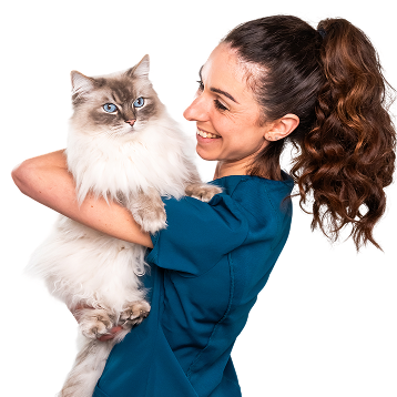 Vet with pet