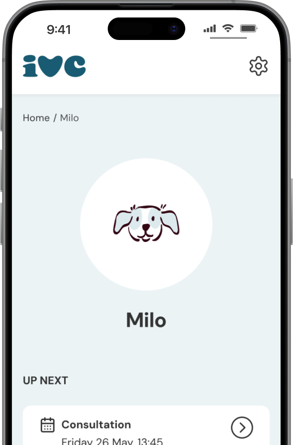 Web App Homepage Promo Image