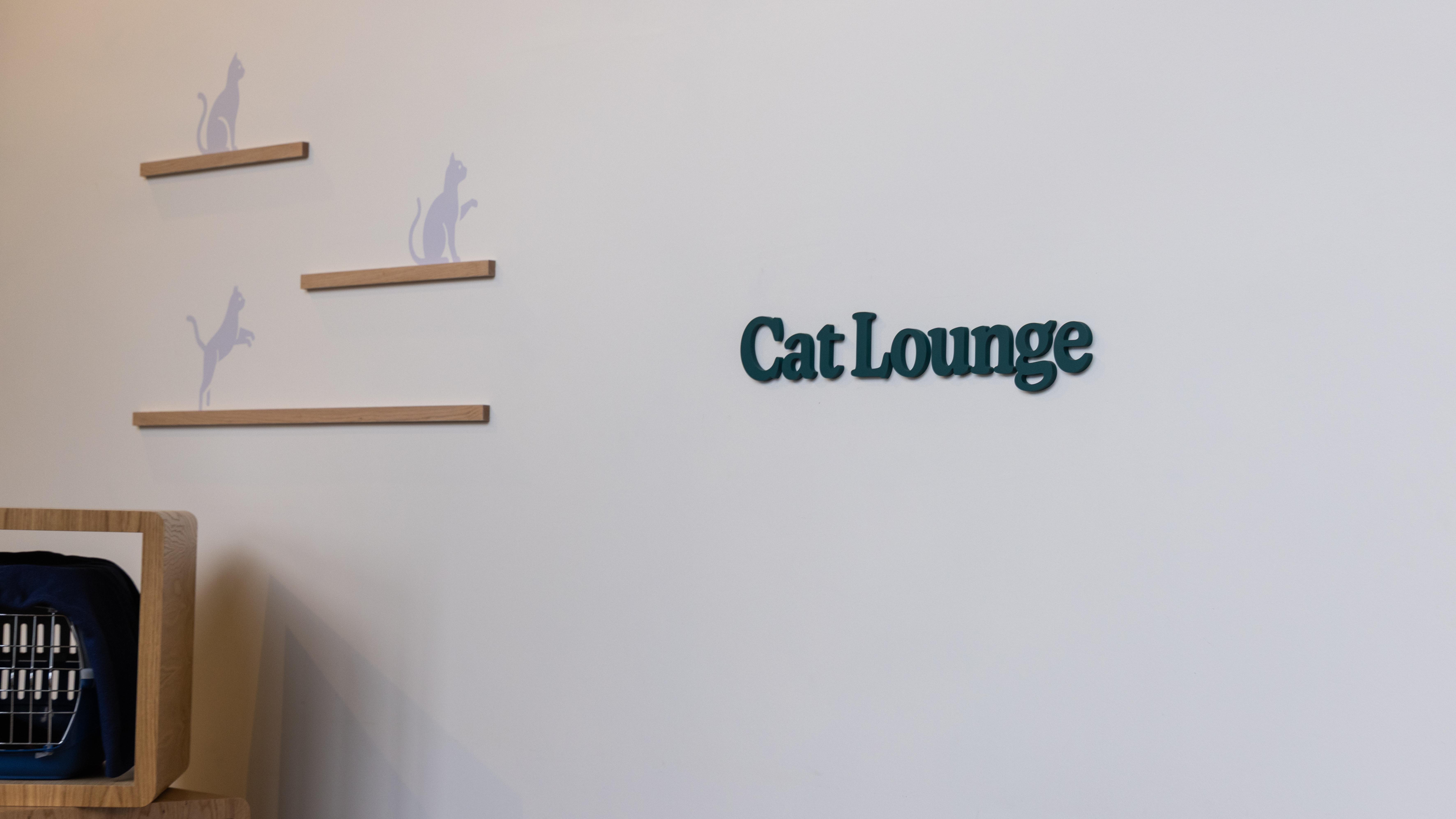 Cat friendly clinic - cat lounge sign on practice wall.