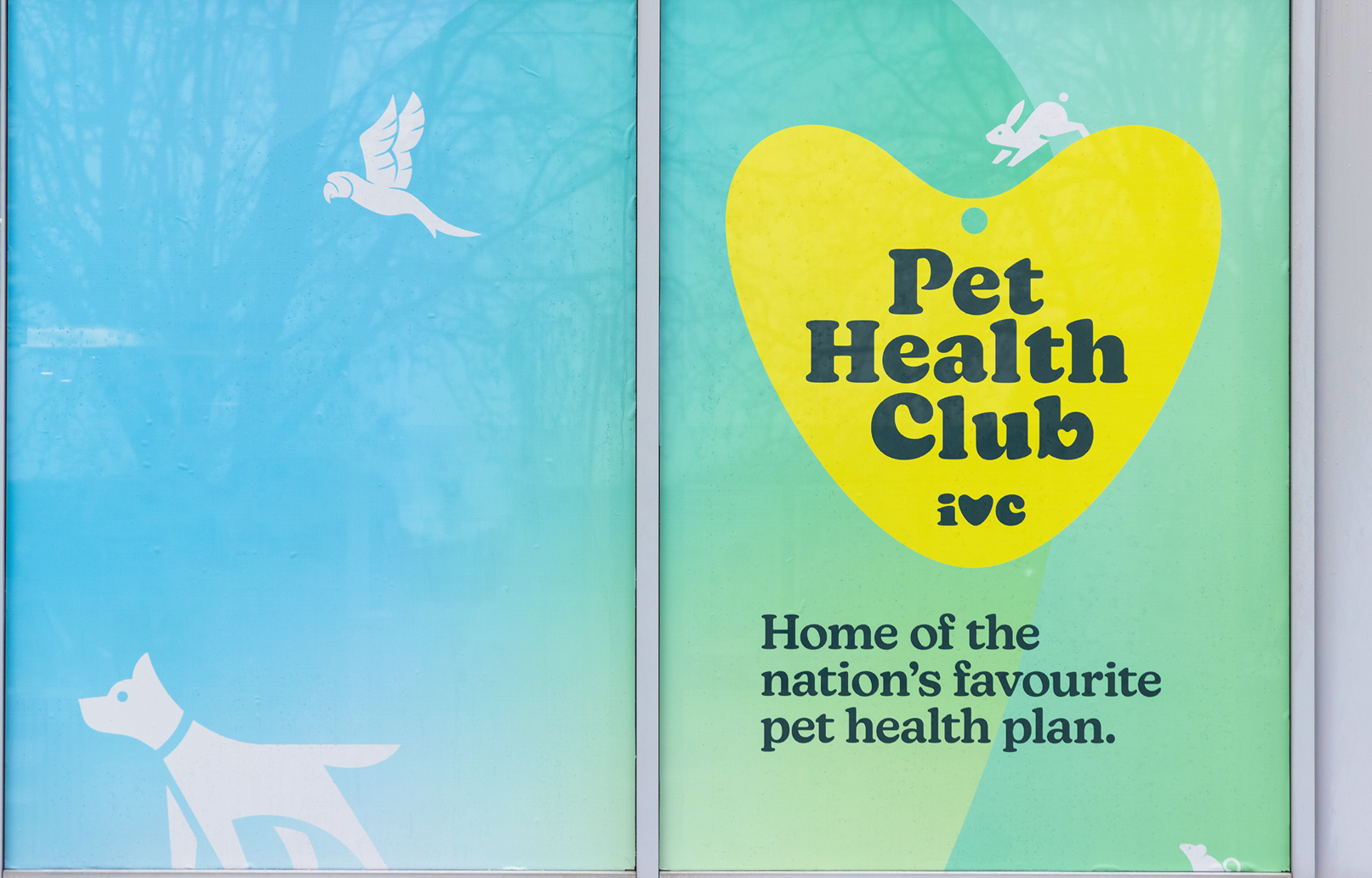 Signage for Pet Health Club at an inspiring vet care practice