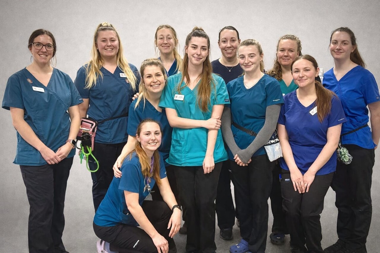 Spring Lodge Veterinary Group, Witham Team