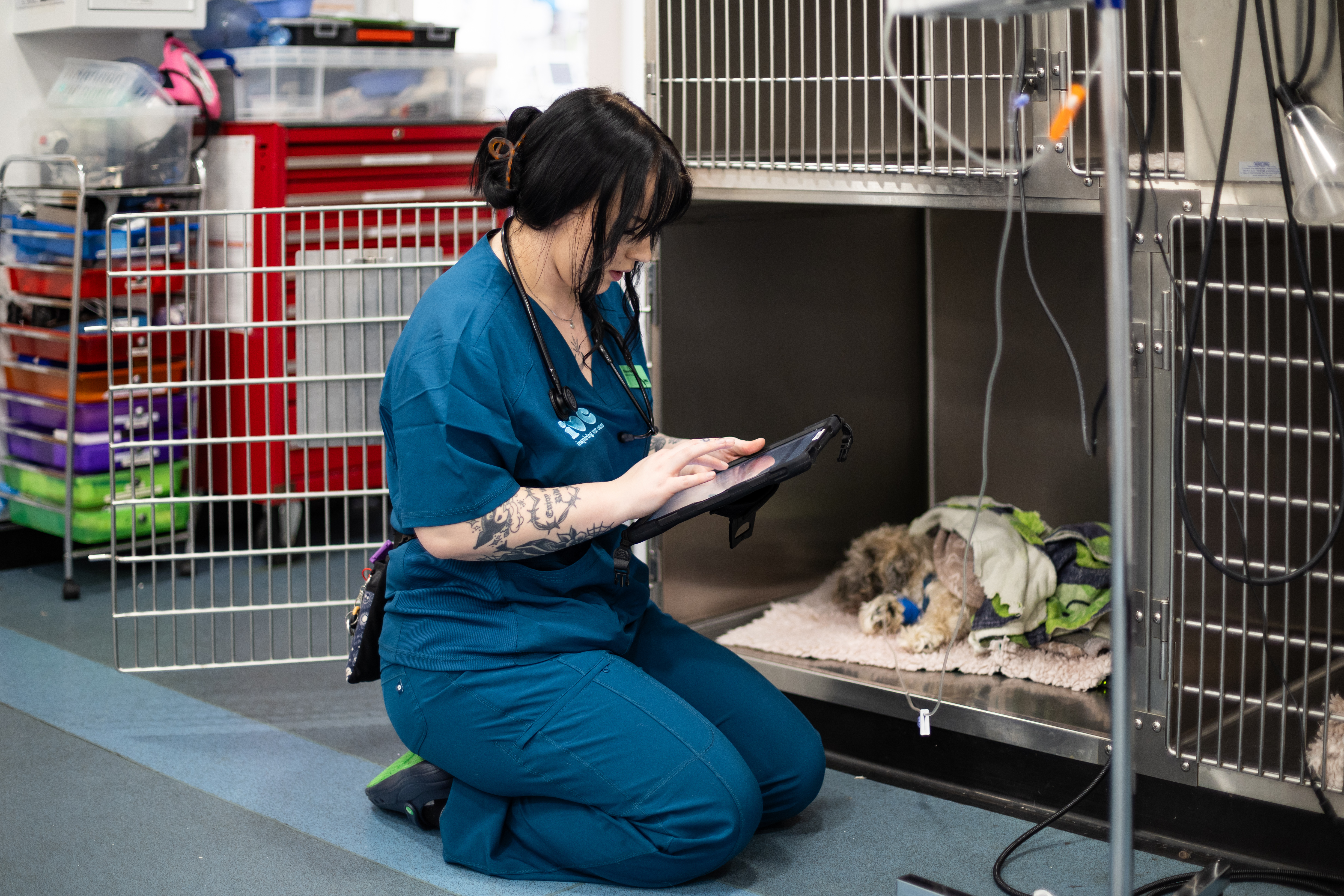 Emergency care hero image