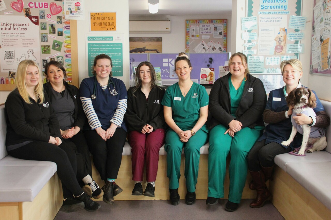 Kernow Veterinary Group, Pelyn Vets - St. Austell Team