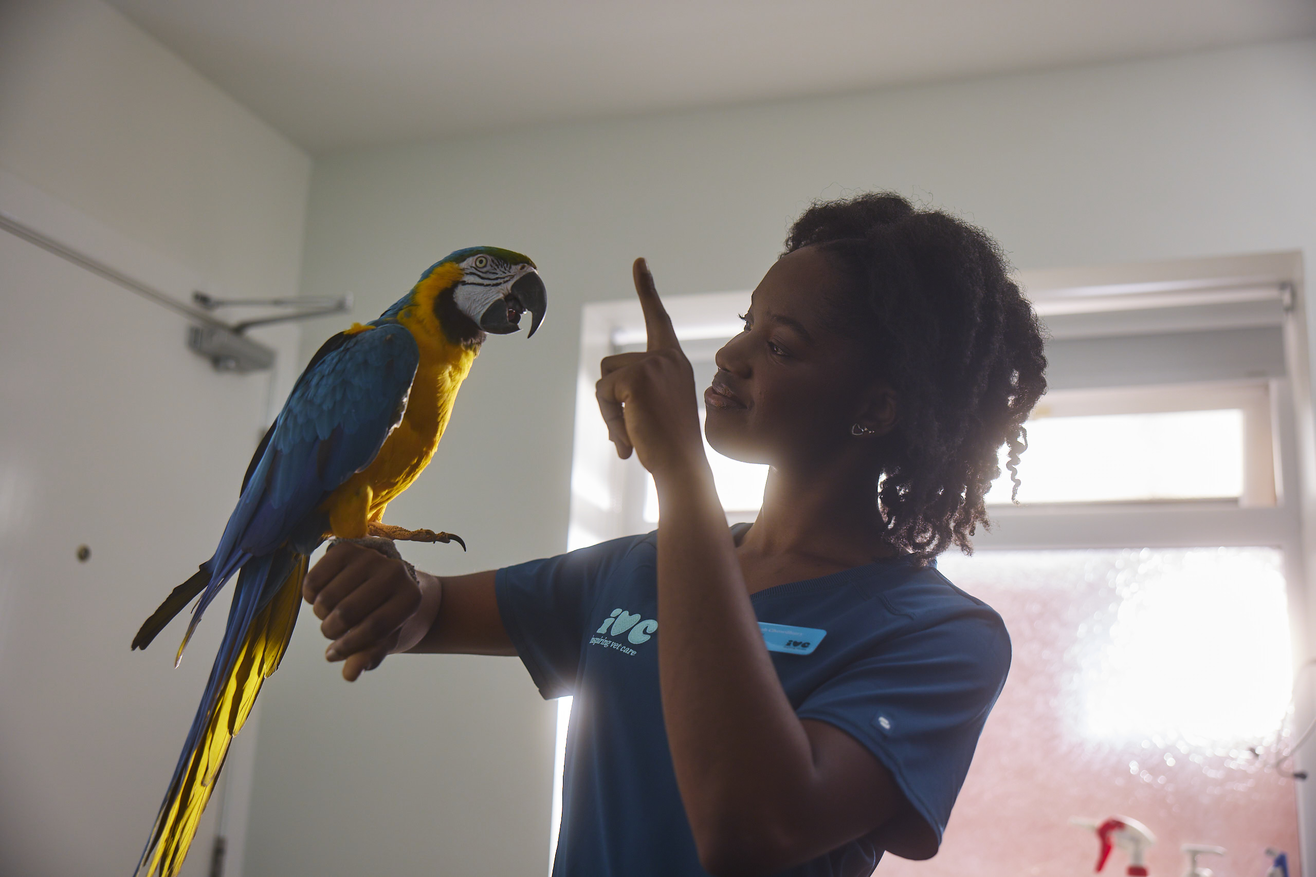 Homepage hero vet with parrot
