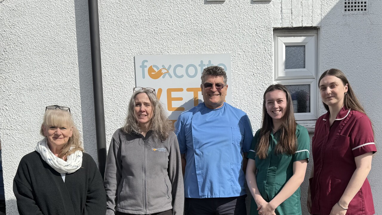 Foxcotte Veterinary Group, Ludgershall Team