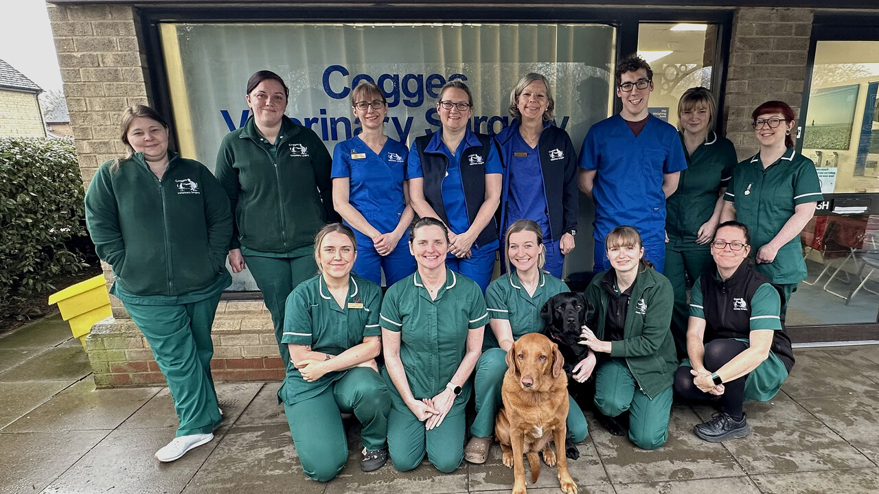 Cogges Vets - Witney Team