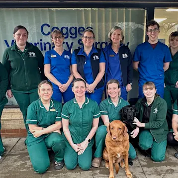 Cogges Vets - Witney Team