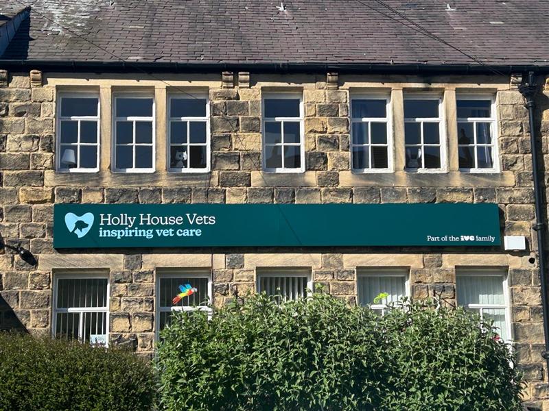 Holly House Veterinary Clinic, Ilkley Team