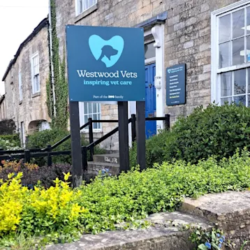 Westwood Vets, Boston Spa Team