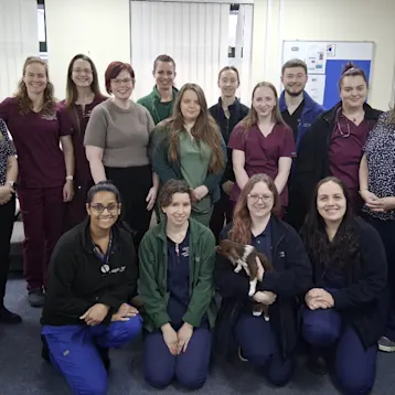 Alphavets - Langstone Team