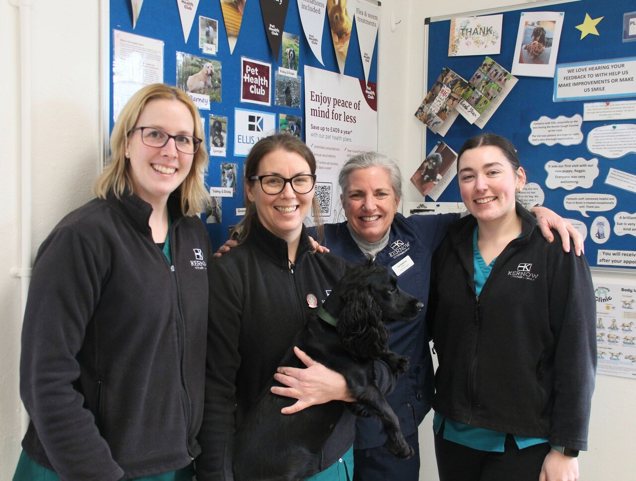 Kernow Veterinary Group, Ellis Vets - Liskeard Team
