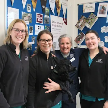Kernow Veterinary Group, Ellis Vets - Liskeard Team