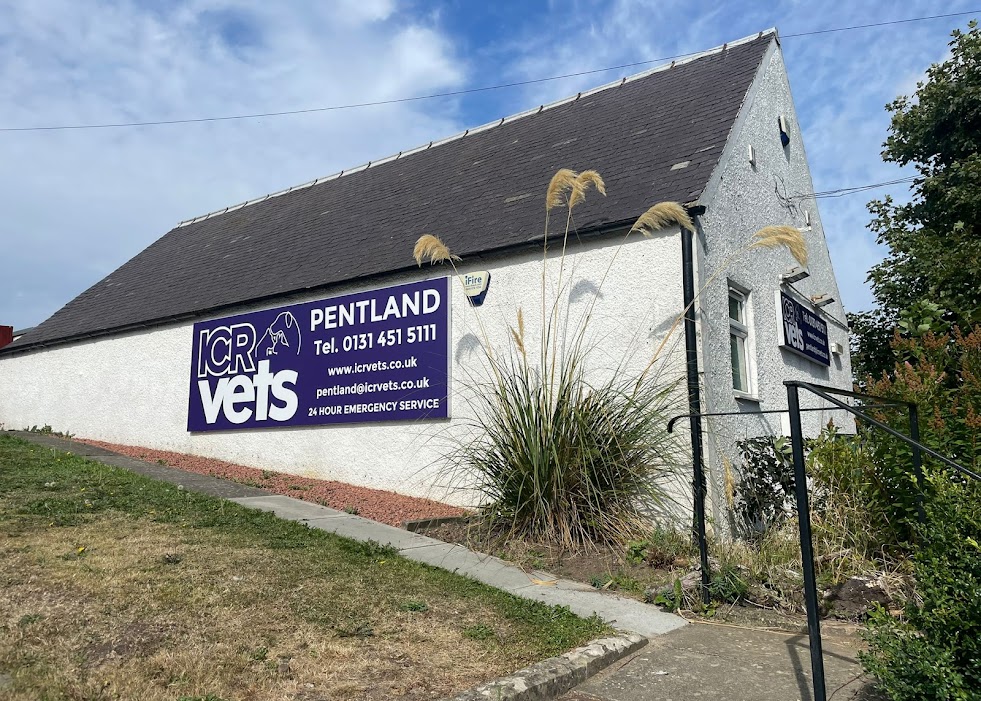 ICR Vets, Pentland Team