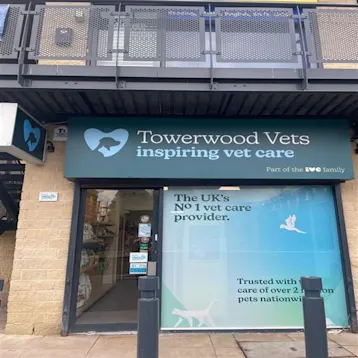 Towerwood Vets, Greengates Team