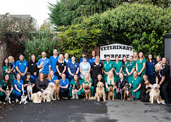 ICR Vet Hospital - Loanhead Team