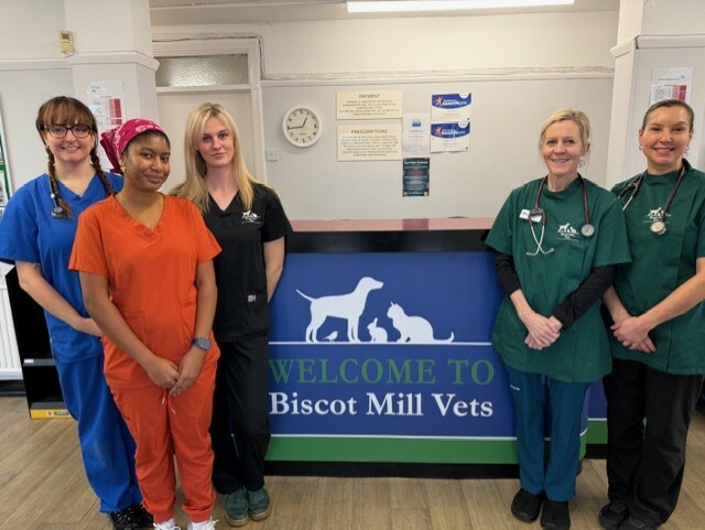 Biscot Mill Vet Centre, Luton Team