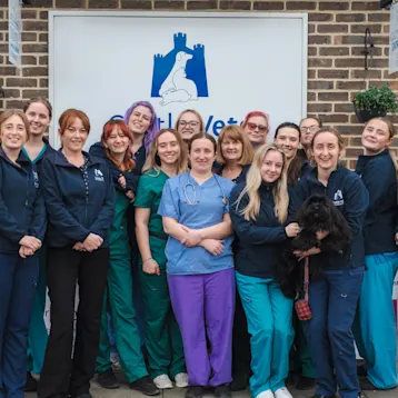 Castle Vet Hospital - Reading Team