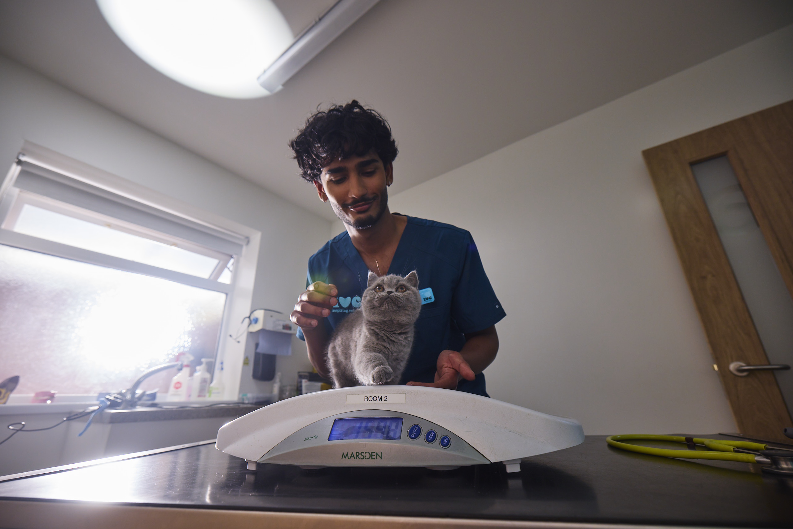 Kitten being weighed during an appointment.