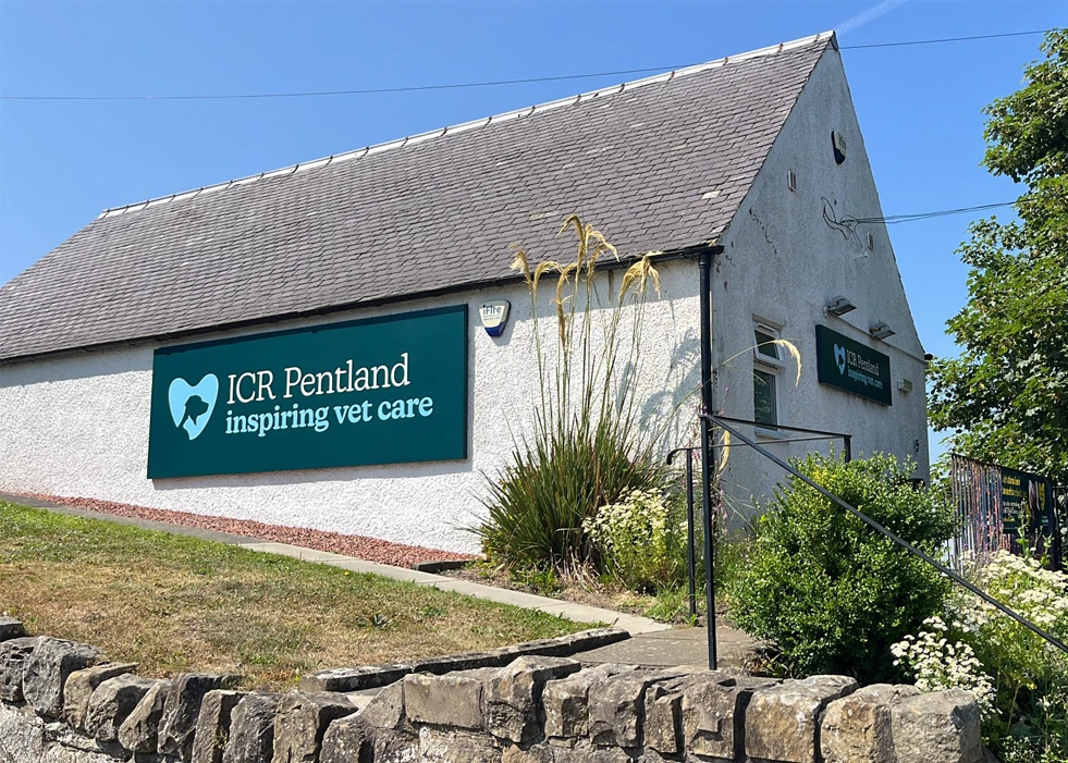 ICR Vets, Pentland Team