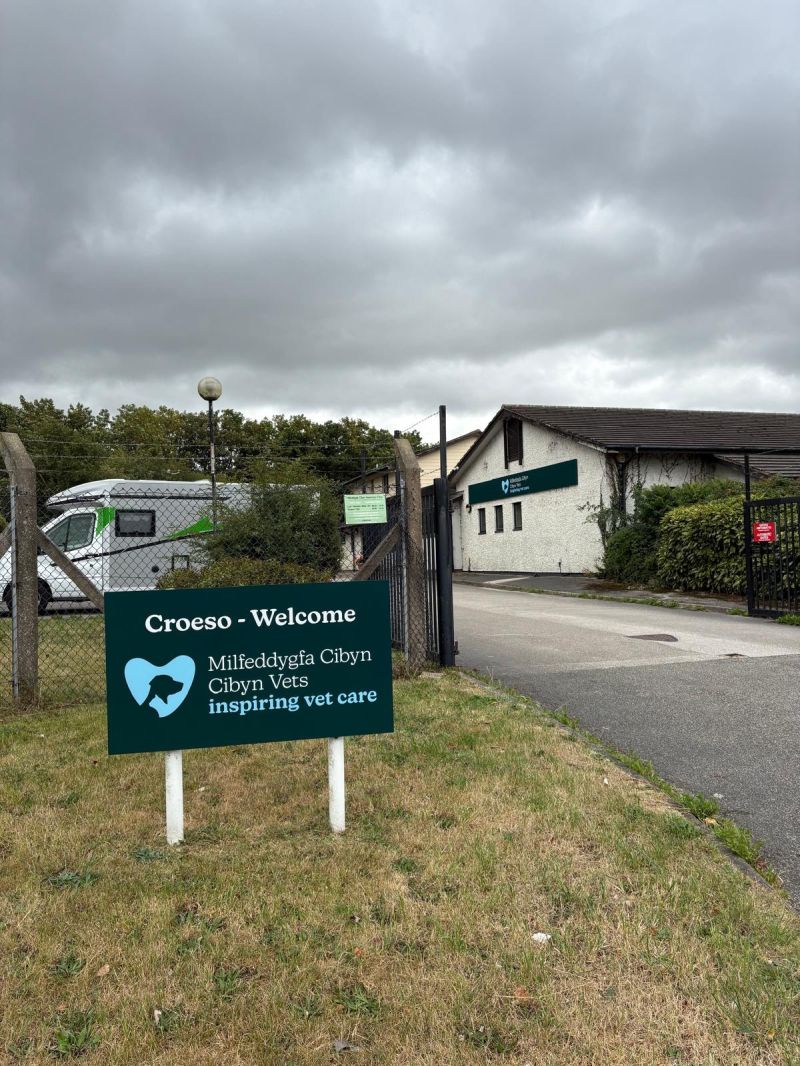 Cibyn Vets - Caernarfon Team