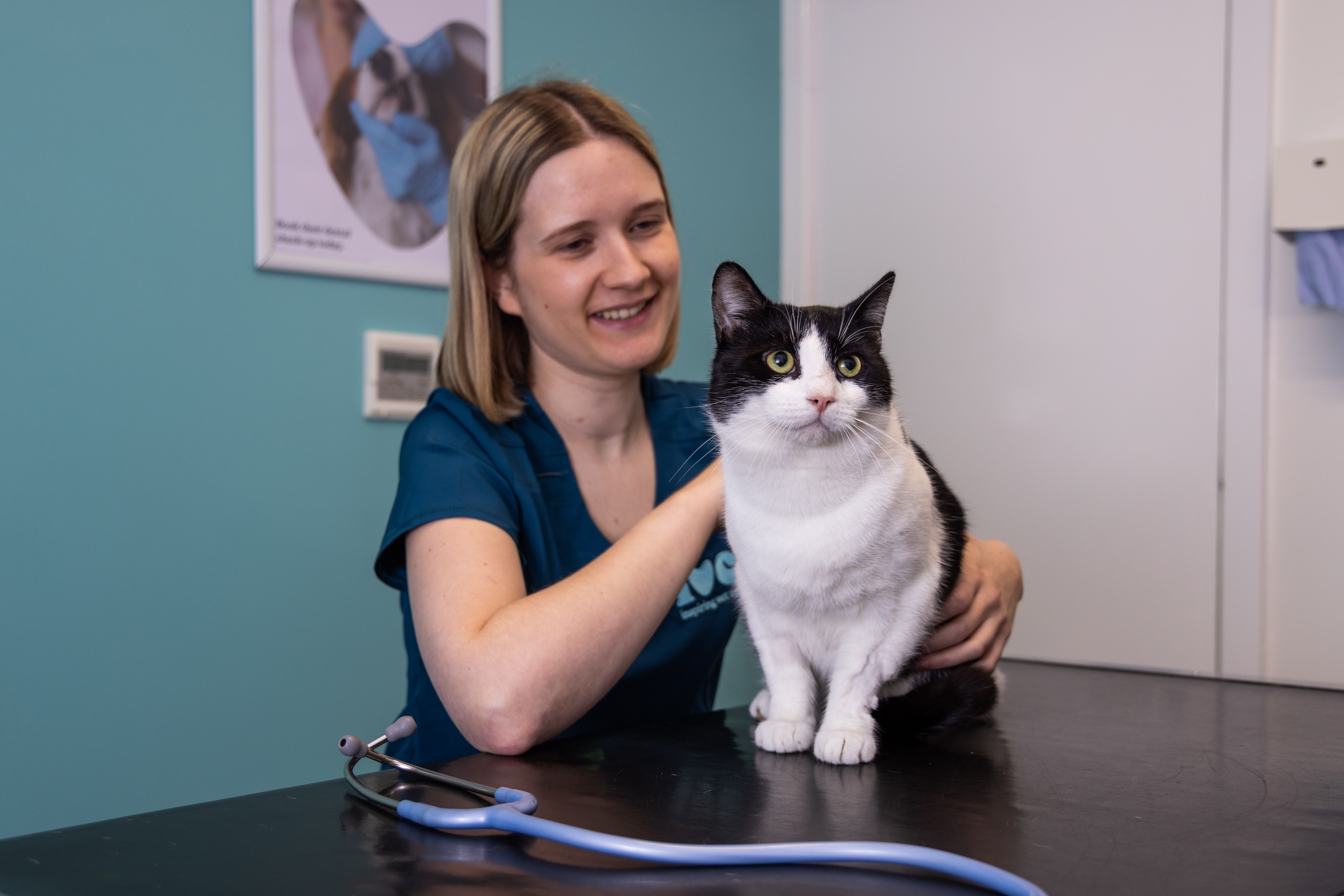 Vet with cat