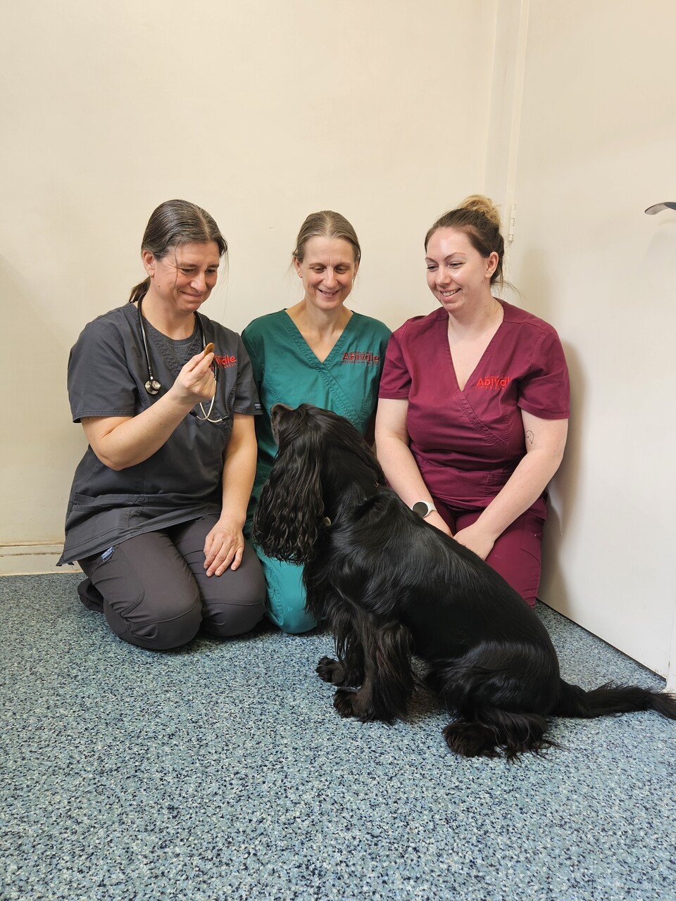 Abivale Veterinary Group, Wantage Team