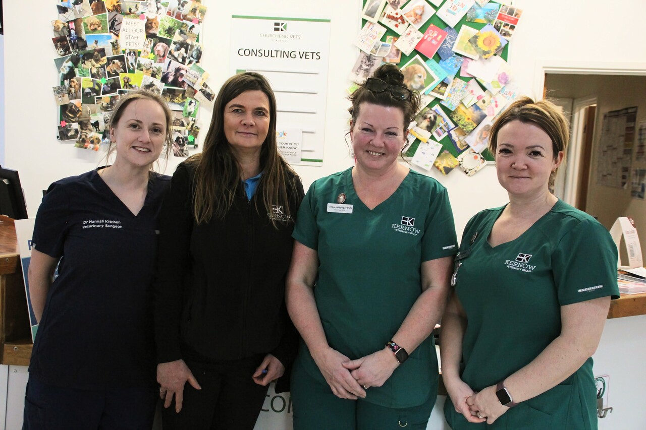 Kernow Veterinary Group, Churchend Vets - St Austell Team