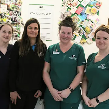 Kernow Veterinary Group, Churchend Vets - St Austell Team