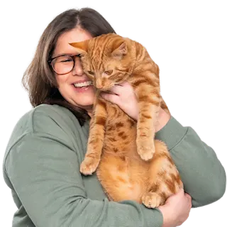 Pet Health Club health plans at Crown Vets Fort William, Fort William