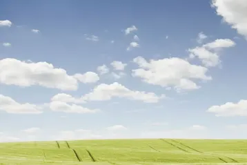 Sunny meadow and blue sky