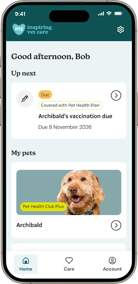 My IVC App