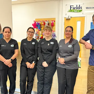 Fields Vets, Newport Team