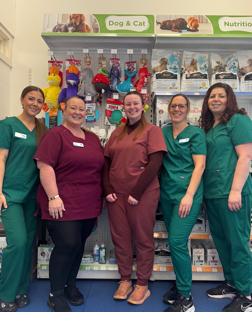 Eureka Veterinary Centre, Ashford Team