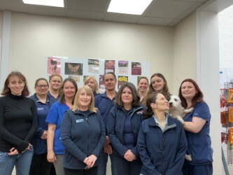 New Street Vets - Honiton Team
