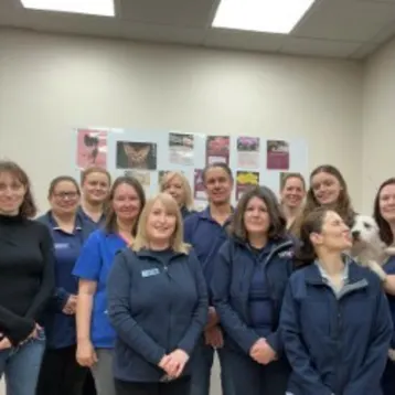 New Street Vets - Honiton Team