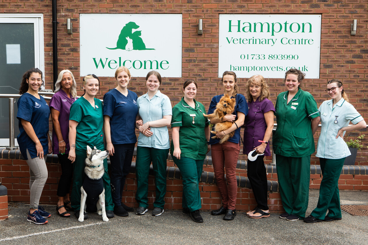 Hampton Vets Team