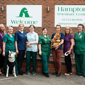 Hampton Vets Team