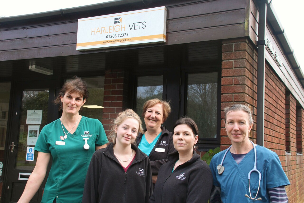 Kernow Veterinary Group, Harleigh Vets - Bodmin Team