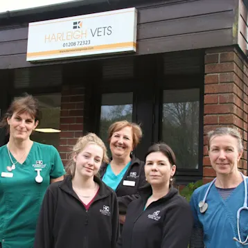 Kernow Veterinary Group, Harleigh Vets - Bodmin Team