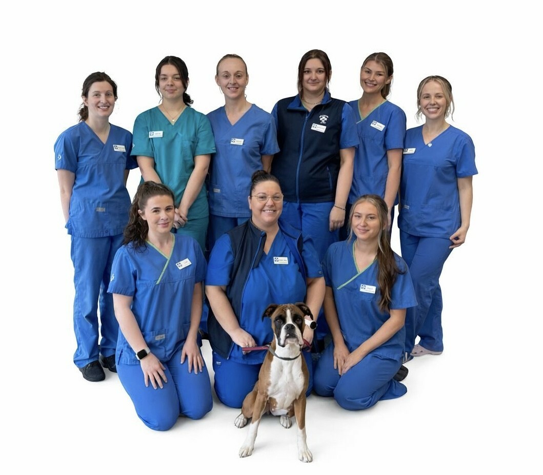 White Cross Vets, Wolstanton Team