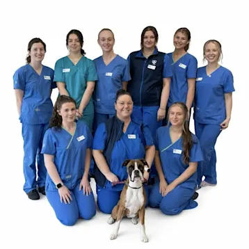 White Cross Vets, Wolstanton Team